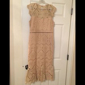 ‼️PRICE DROP TODAY‼️ Gorgeous cream lace body con Dress, from VICI😍❤️